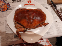 Metacarcinus magister du Restaurant de crabe Le Crabe Marteau à Brest - n°20