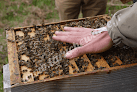 Ecole des abeilles David Giroux Germs-sur-l'Oussouet