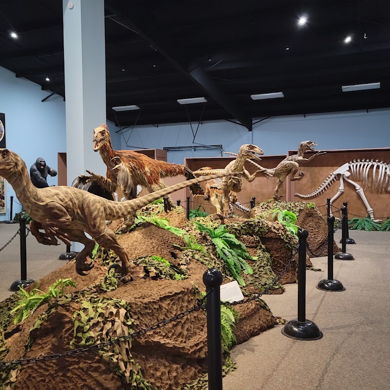 The Dinosaur Museum