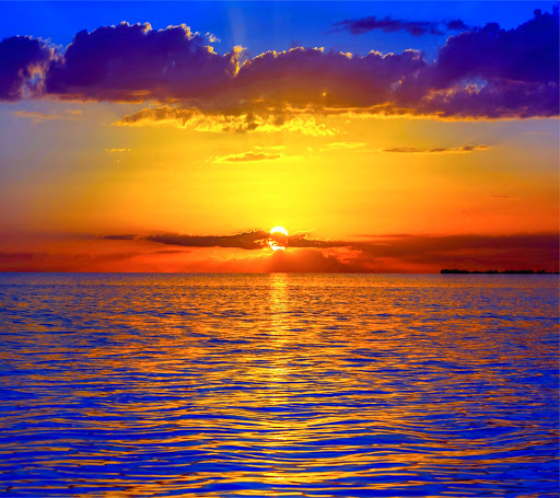 Donut Shop «Family Donut Shop», reviews and photos, 7600 196th St SW #850, Lynnwood, WA 98036, USA