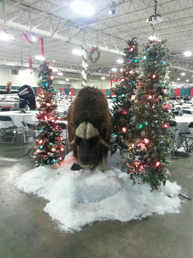 Sporting Goods Store «Bass Pro Shops Base Camp», reviews and photos, 2500 E Kearney St, Springfield, MO 65803, USA