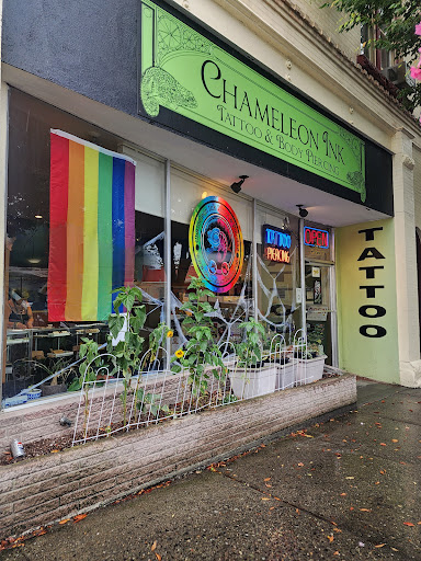 Explore super mario tattoo ideas, creative tattoo ideas in Bellingham, available at Chameleon Ink Tattoo & Body Piercing