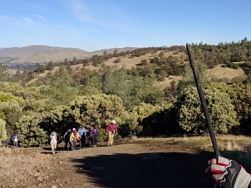 Live Music Venue «Concord Pavilion», reviews and photos, 2000 Kirker Pass Rd, Concord, CA 94521, USA