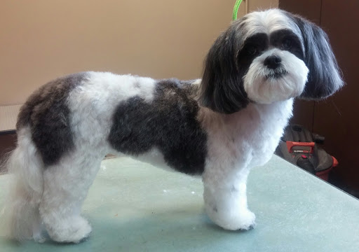 Pet Supply Store «Ma & Paws Pet Supplies», reviews and photos, 206 Anderson Ln N #200, Hendersonville, TN 37075, USA