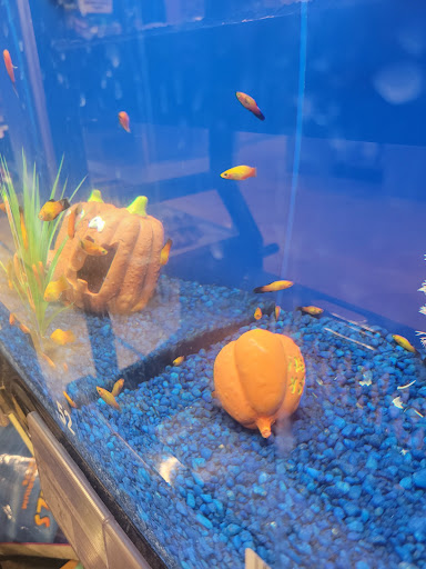 Pet Supply Store «PetSmart», reviews and photos, 1759 Apalachee Pkwy, Tallahassee, FL 32301, USA