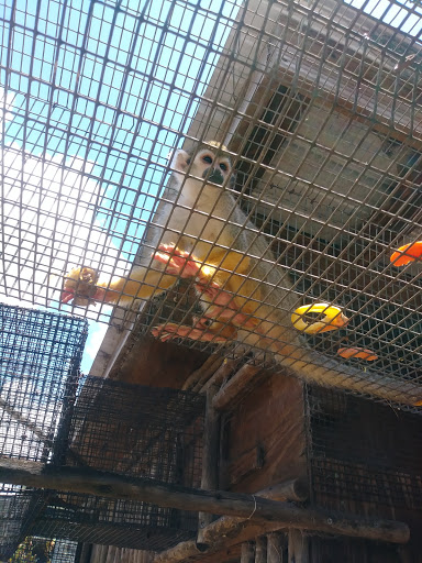 Ranch «Giraffe Ranch», reviews and photos, 38650 Mickler Rd, Dade City, FL 33523, USA