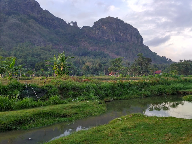 Gunung Budheg