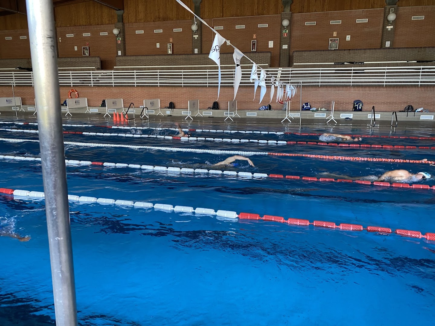 Club de Natación Pozuelo