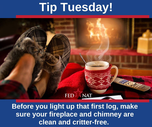 Insurance Agency «FedNat», reviews and photos