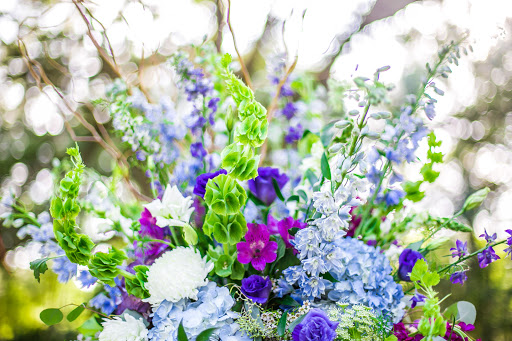 Event Venue «Bowing Oaks Plantation», reviews and photos, 7743 Alphons St, Jacksonville, FL 32256, USA