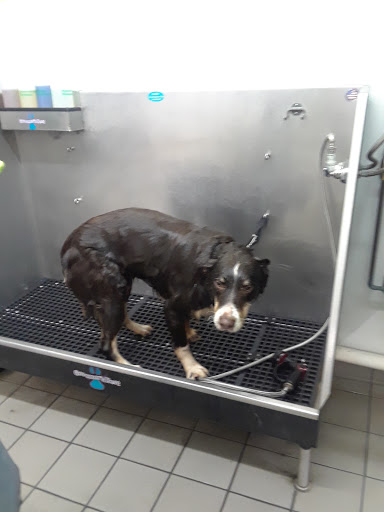 Pet Supply Store «Pet Supplies Plus», reviews and photos, 1764 Tilden Ridge Dr, Hamburg, PA 19526, USA