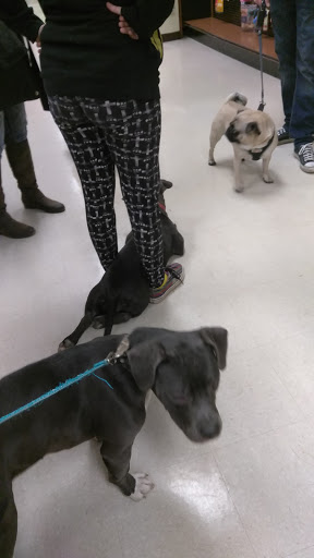 Pet Store «PetSaver Healthy Pet Superstore (Brighton Location)», reviews and photos, 2947 Monroe Ave, Rochester, NY 14618, USA