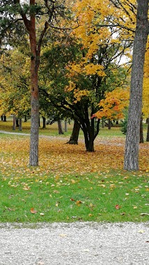 Tallunden