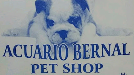 Pet Shop - Acuario Bernal