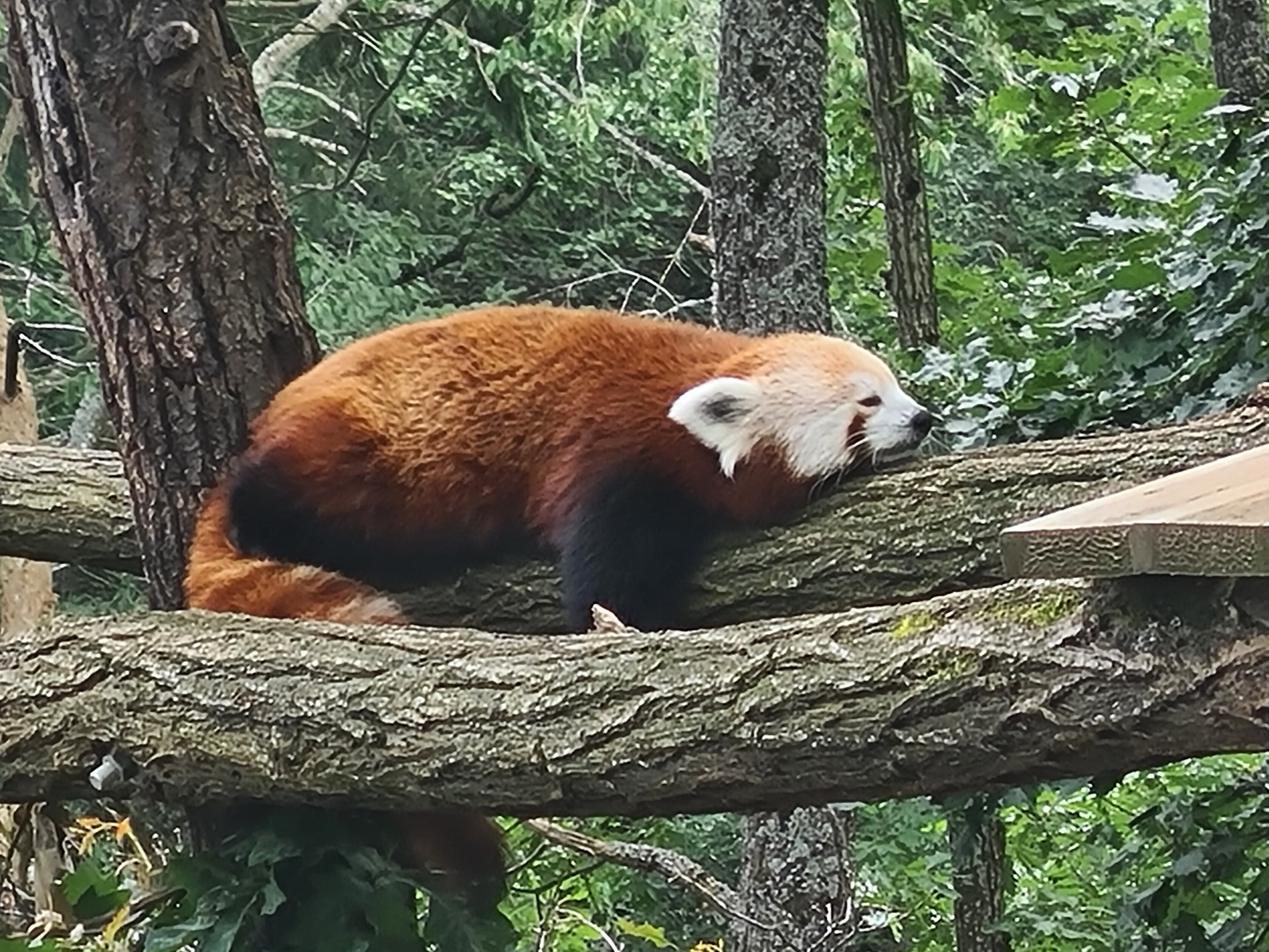 Photo n° 22 de l'avis de christophe.a fait le 05/08/2021 à 16:49