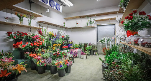 Florist «K & M Floral & Interior Plant Designs», reviews and photos, 537 Main St, Woodland, CA 95695, USA