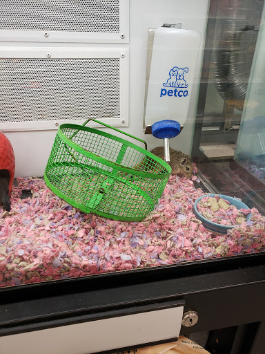 Pet Supply Store «Petco Animal Supplies», reviews and photos, 1885 S Randall Rd, Geneva, IL 60134, USA
