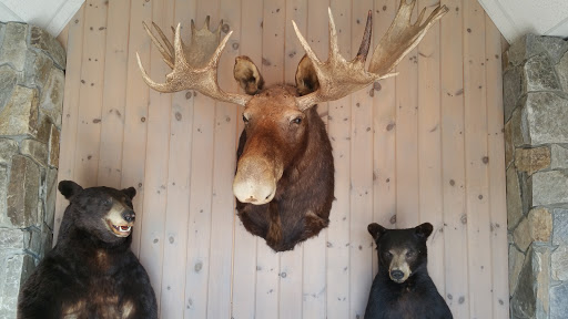 Harley-Davidson Dealer «Big Moose Harley-Davidson», reviews and photos, 375 Riverside St, Portland, ME 04103, USA