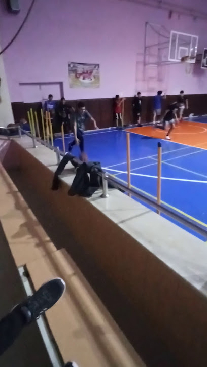 Anka Adana Anadolu Efes Basketbol Okulları