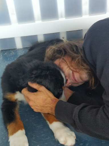 Pet Store «Puppies Plus LLC», reviews and photos, 6405 S Virginia St # 1, Reno, NV 89511, USA