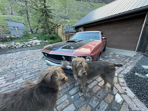 Lookout Mountain Animal Hospital image