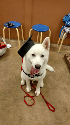 Pet Supply Store «PetSmart», reviews and photos, 2828 Campus Pkwy, Riverside, CA 92507, USA