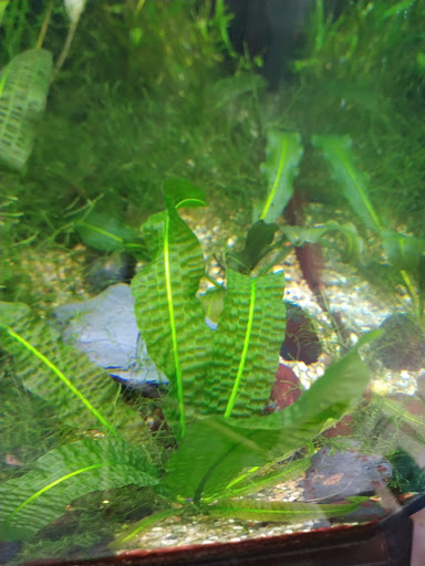 Pet Store «Red Hill Pet Center», reviews and photos, 1566 4th St, San Rafael, CA 94901, USA