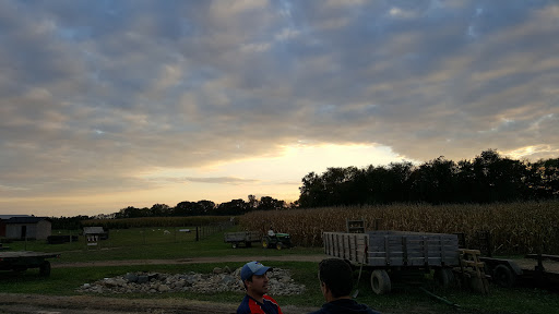 Christmas Tree Farm «Piney Acres», reviews and photos, 1115 E 1000 N, Fortville, IN 46040, USA