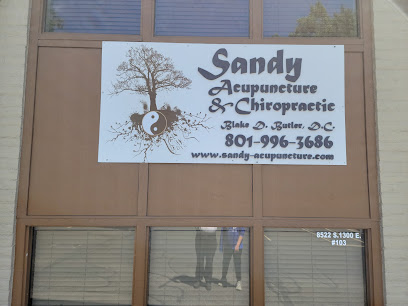 Sandy Acupuncture & Chiropractic Clinic, P.C.