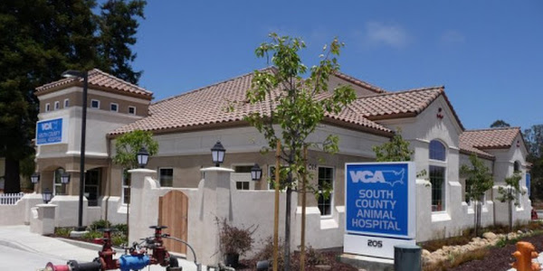 VCA South County Animal Hospital