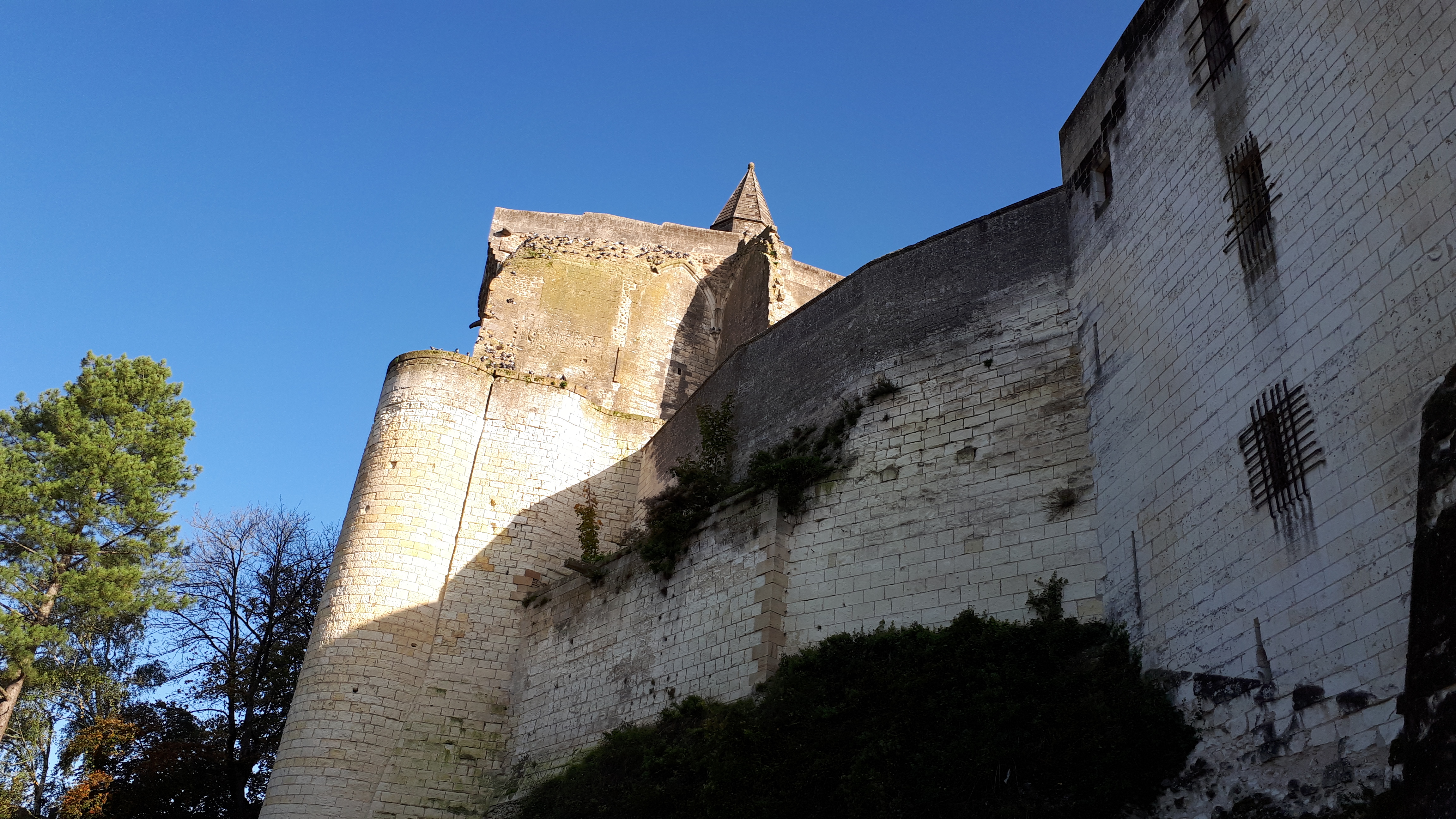 Photo n° 19 de l'avis de Fabrice.H fait le 09/11/2019 à 23:46