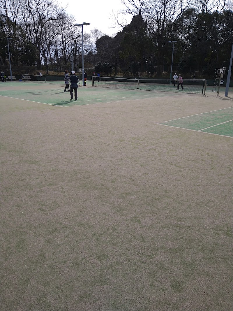 庄和総合公園テニスコート
