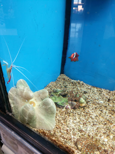 Pet Supply Store «Petco Animal Supplies», reviews and photos, 4012 W 27th Ave, Kennewick, WA 99337, USA