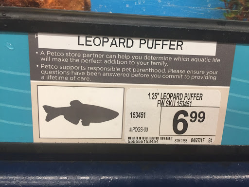 Pet Supply Store «Petco Animal Supplies», reviews and photos, 12014 SW 88th St, Miami, FL 33186, USA