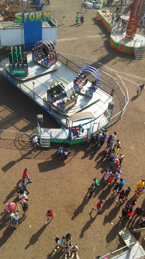 Insurance Company «Alexandria Mega Shelter», reviews and photos