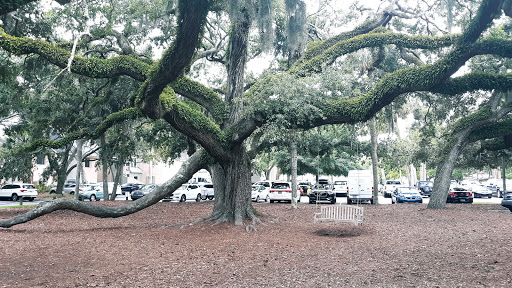 Golf Club «Sea Pines Country Club - Golf Club», reviews and photos, 30 Governors Rd, Hilton Head Island, SC 29928, USA