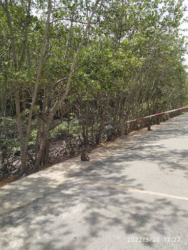 Top 20 cửa hàng play Huyện Cần Giờ Hồ Chí Minh 2022