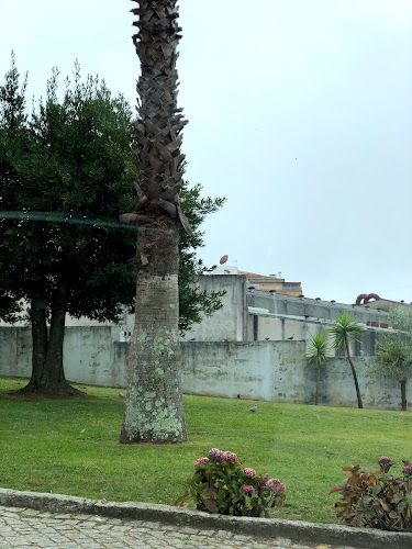 Avaliações do4 Linhas - Padel | Futebol | Sala de Estudos em Santa Maria da Feira - Escola