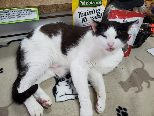 Pet Trainer «Healthy Pet Center», reviews and photos, 154 Delaware Ave, Delmar, NY 12054, USA