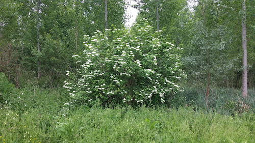 Centre de loisirs Association de L'Union Sportive de Daours Vecquemont Daours