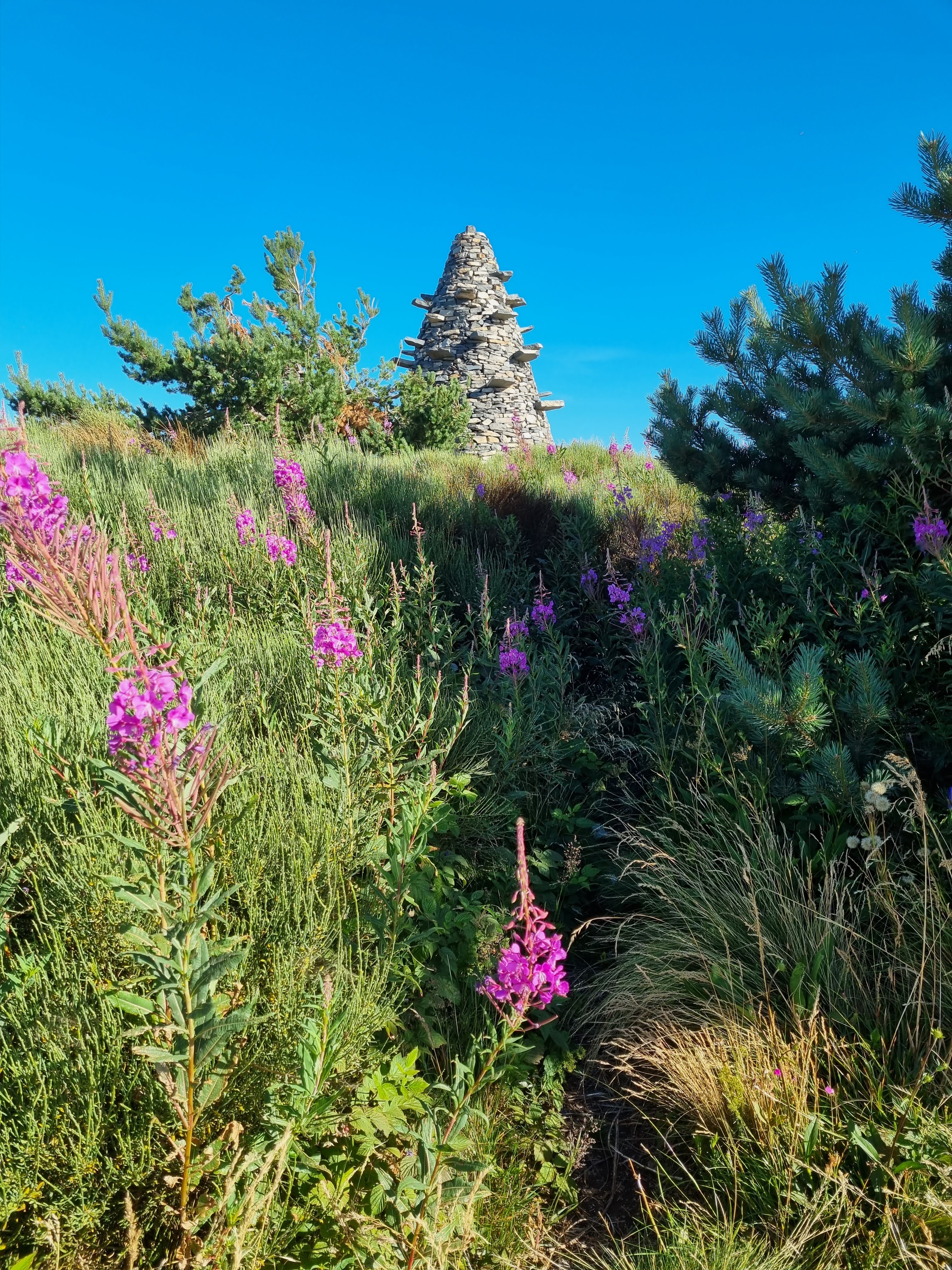 Photo n° 33 de l'avis de LD.R fait le 17/07/2022 à 16:33