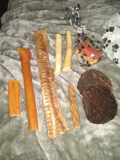 Pet Groomer «Animal House», reviews and photos, 705 Asbury Ave, Ocean City, NJ 08226, USA