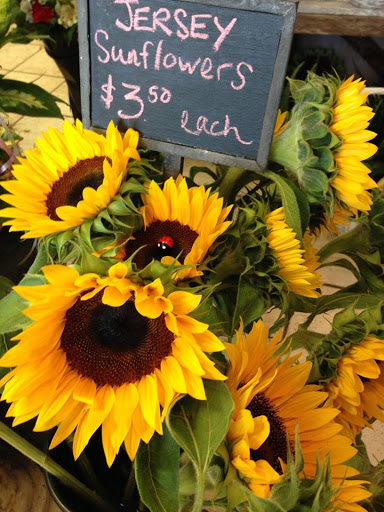 Gift Shop «Highland Flowers & Gifts», reviews and photos, 3 Church St, Vernon Township, NJ 07462, USA