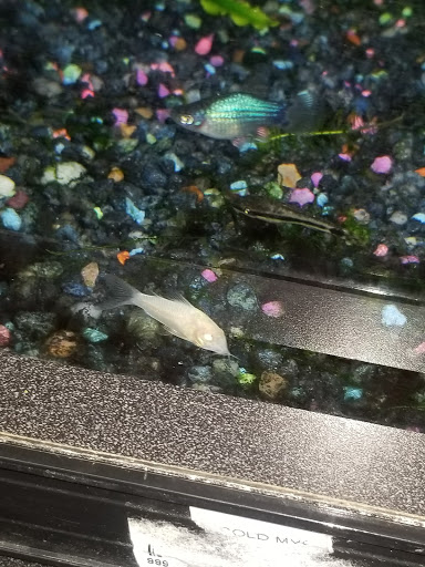 Pet Store «Pets Plus», reviews and photos, 5054 Old Taylor Mill Rd, Taylor Mill, KY 41015, USA