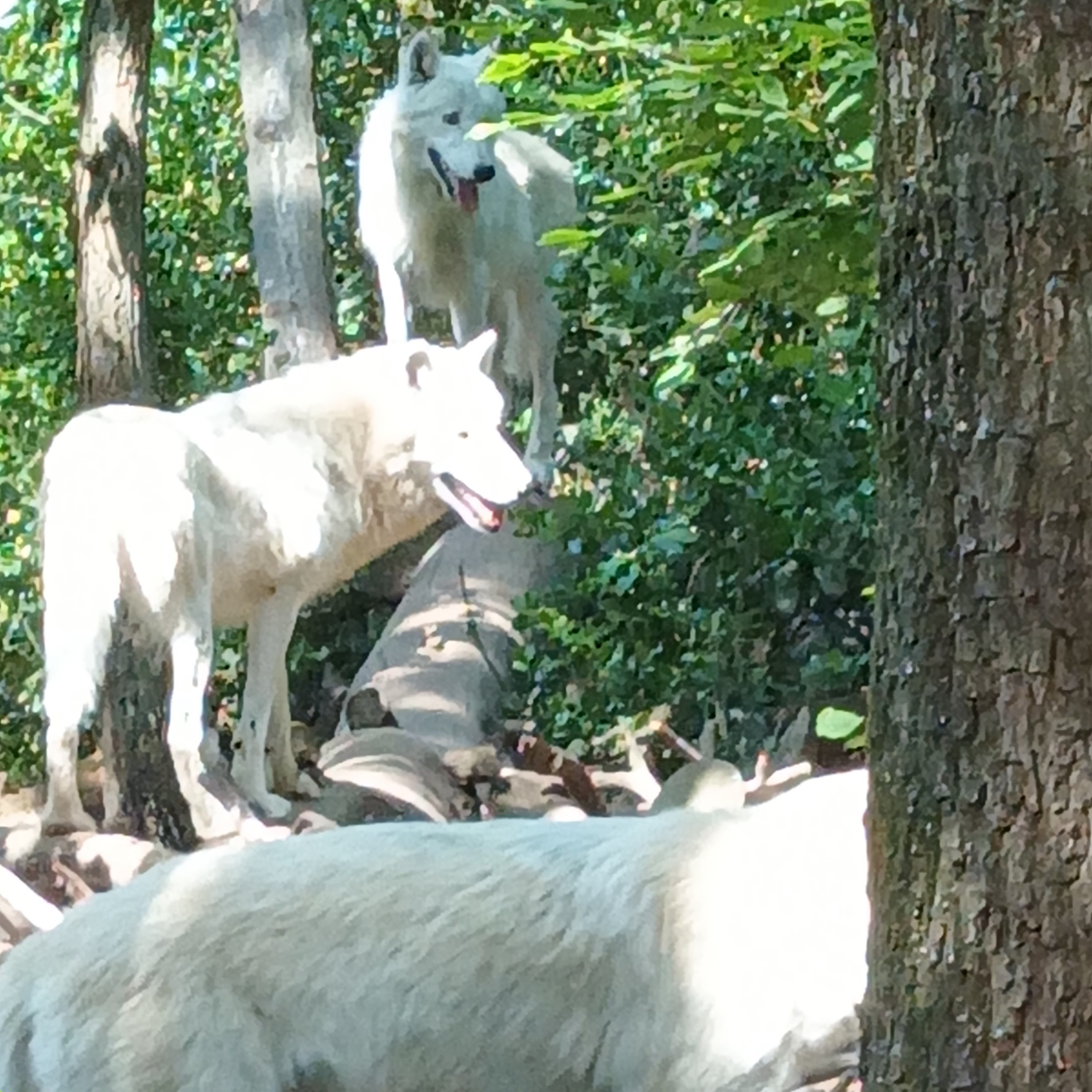 Photo n° 9 de l'avis de Jean.u fait le 20/07/2023 à 15:55