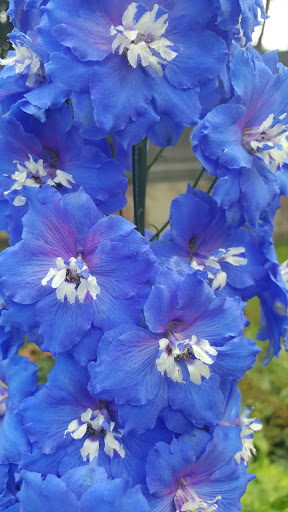 Historical Place «Castle Hill», reviews and photos, 290 Argilla Rd, Ipswich, MA 01938, USA