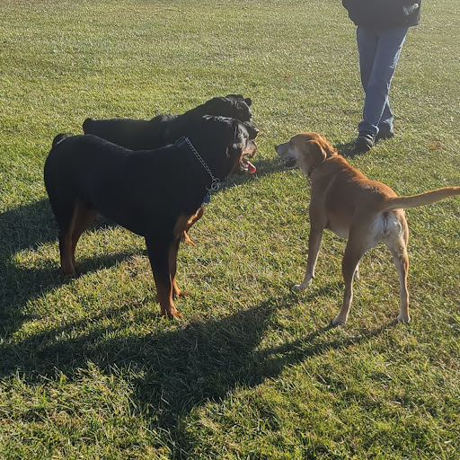 Golf Course «Short Beach Golf Course», reviews and photos, 1 Dorne Dr, Stratford, CT 06615, USA