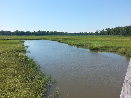 Nature Preserve «Eldora Nature Preserve», reviews and photos, 2350 NJ-47, Delmont, NJ 08314, USA