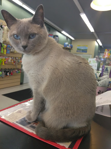 Pet Store «Debbies Pet Boutique», reviews and photos, 431 Center St, Healdsburg, CA 95448, USA