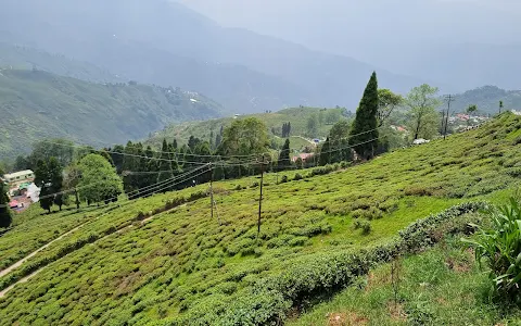 Happy Valley Tea Estate image